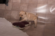 picture-0028