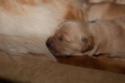 picture-0026