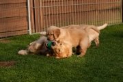 picture-0025