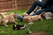 picture-0007