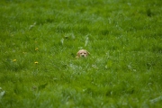 picture-0044