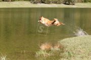 picture-0196