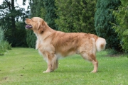 Caleb_Stand_0617 (1 von 1)