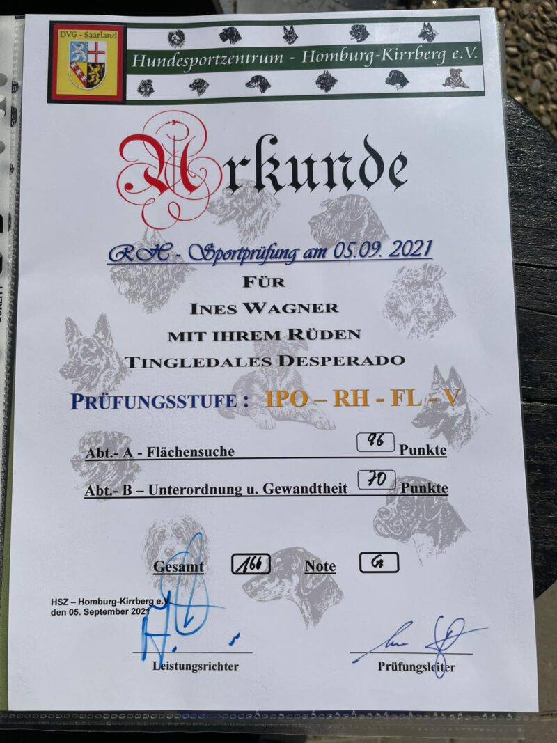 WhatsApp Image 2021-09-05 at 16.22.33